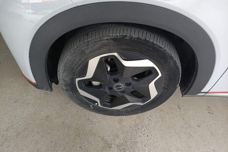 Used BYD Dolphin 2021 405 km Fashion Edition Left Front Wheel Hub
