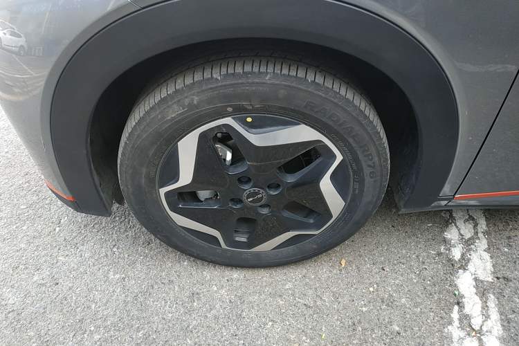 Used BYD Dolphin 2021 405 km Free Version Left Front Wheel Hub