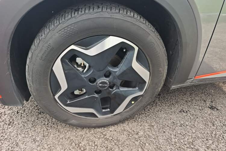 Used BYD Dolphin 2021 405 km Free Version Left Front Wheel Hub