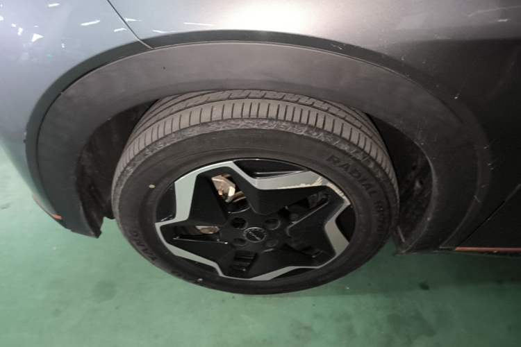 Used BYD Dolphin 2021 405 km Fashion Edition Left Front Wheel Hub