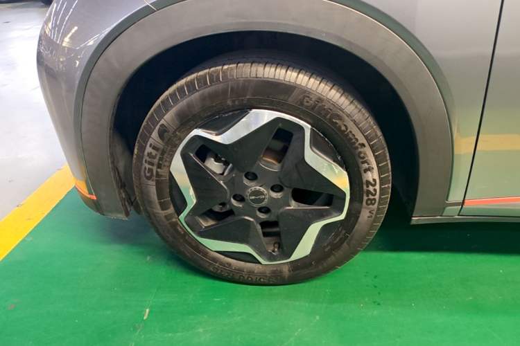 Used BYD Dolphin 2021 405 km Free Version Left Front Wheel Hub