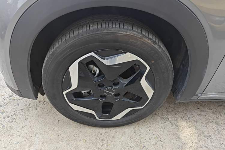 Used BYD Dolphin 2021 405 km Fashion Edition Left Front Wheel Hub