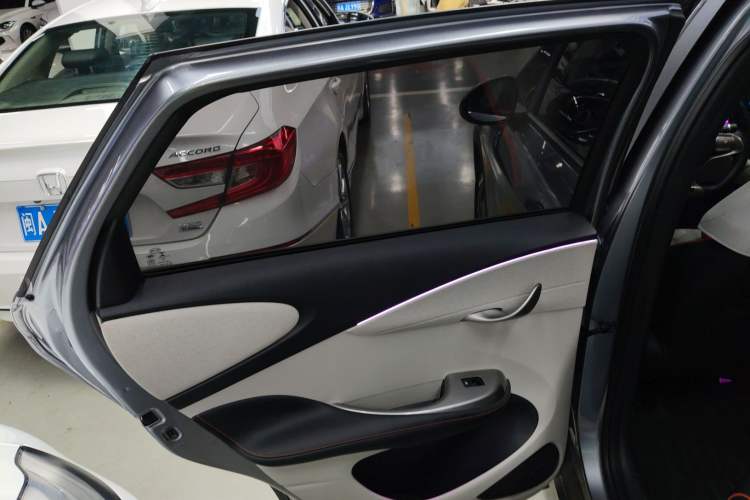 Used BYD Dolphin 2021 405 km Fashion Edition Left Rear Door Interior