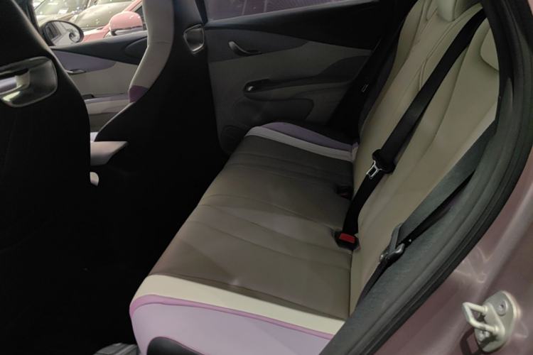 Used BYD Dolphin 2021 405 km Fashion Edition Left Rear Seat