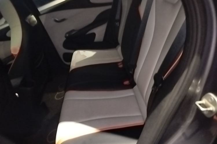 Used BYD Dolphin 2021 405 km Fashion Edition Left Rear Seat