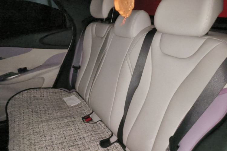 Used BYD Dolphin 2021 405 km Fashion Edition Left Rear Seat