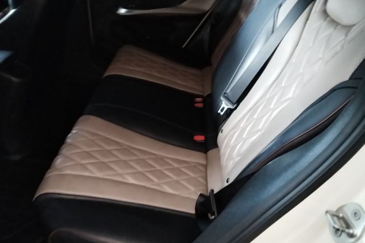 Used BYD Dolphin 2021 405 km Fashion Edition Left Rear Seat