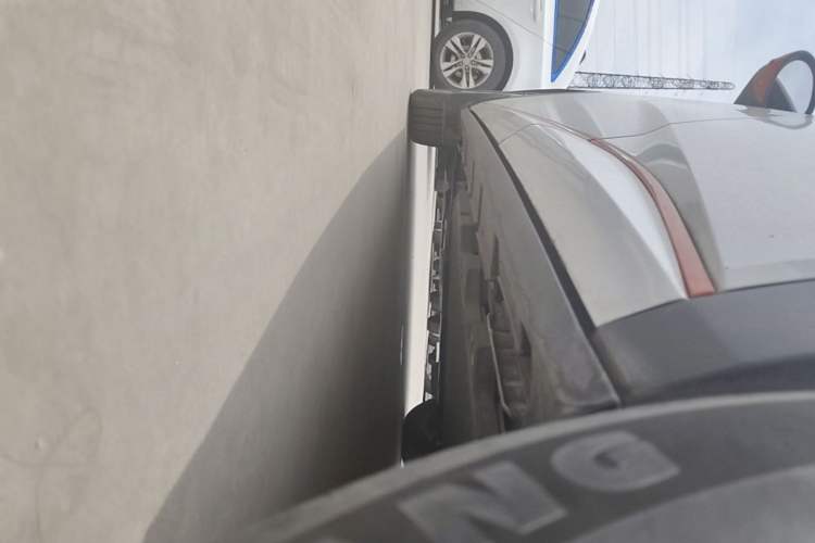 Used BYD Dolphin 2021 405 km Fashion Edition Left Side Sill