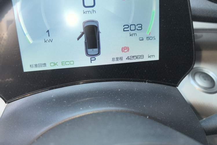 Used BYD Dolphin 2021 405 km Free Version Odometer Close Up