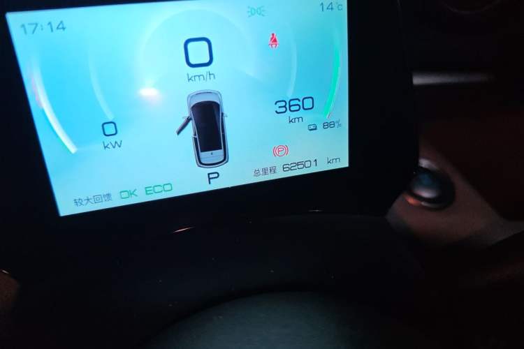 Used BYD Dolphin 2021 405 km Free Version Odometer Close Up