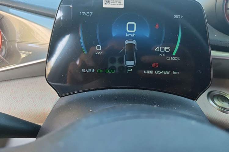 Used BYD Dolphin 2021 405 km Free Version Odometer Close Up