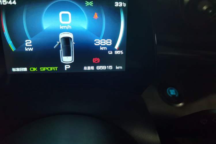 Used BYD Dolphin 2021 405 km Fashion Edition Odometer Close Up