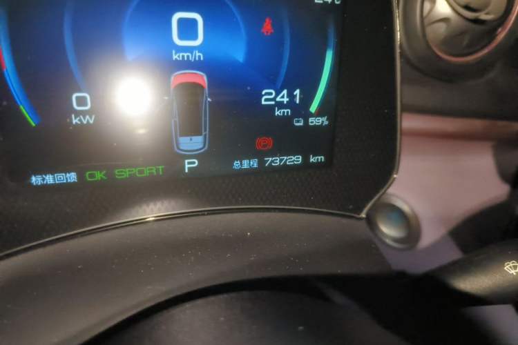 Used BYD Dolphin 2021 405 km Fashion Edition Odometer Close Up