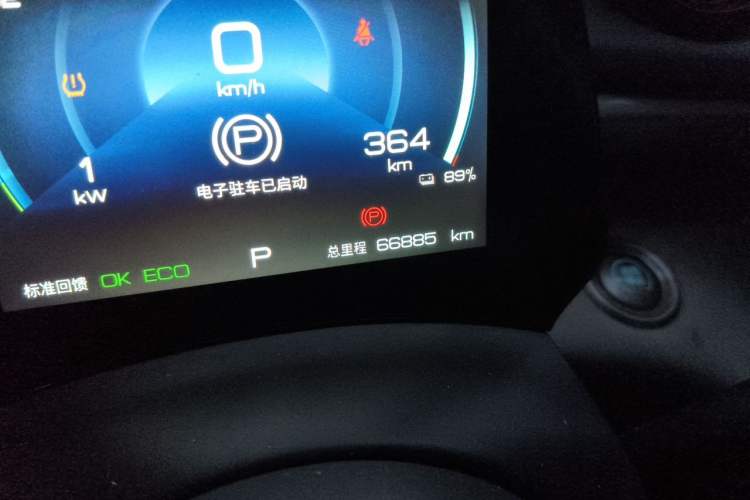Used BYD Dolphin 2021 405 km Fashion Edition Odometer Close Up