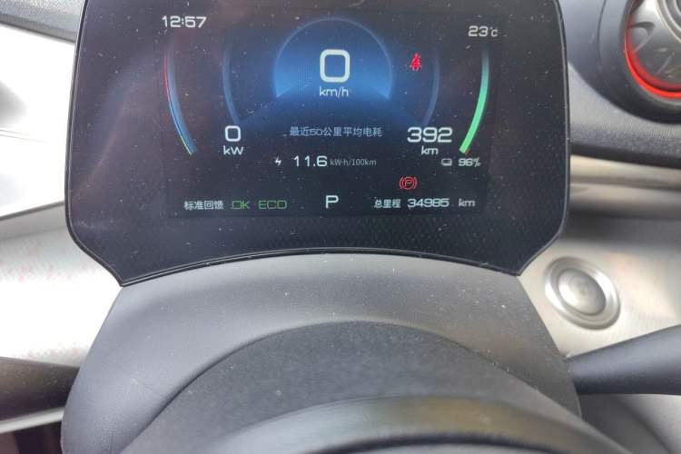 Used BYD Dolphin 2021 405 km Free Version Odometer Close Up