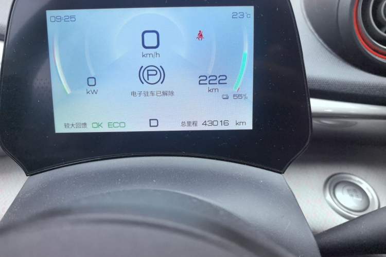 Used BYD Dolphin 2021 405 km Free Version Odometer Close Up