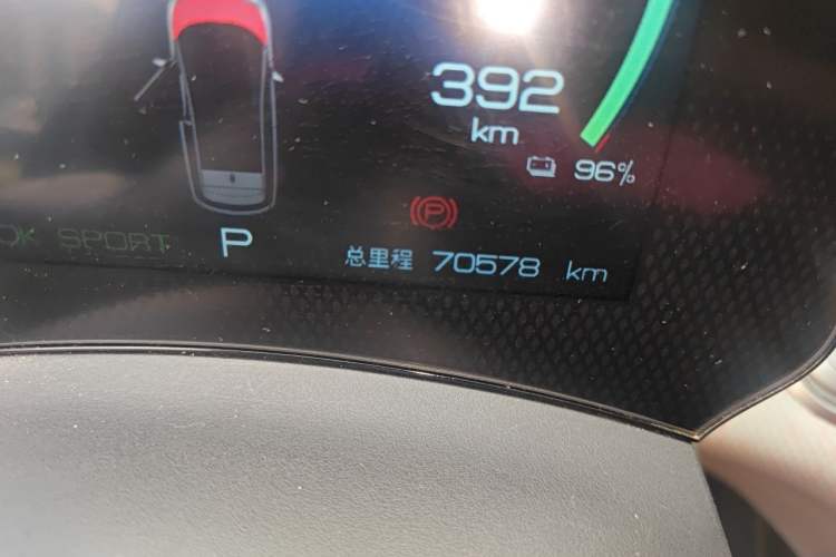 Used BYD Dolphin 2021 405 km Free Version Odometer Close Up