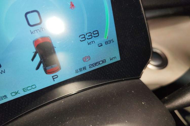 Used BYD Dolphin 2021 405 km Fashion Edition Odometer Close Up