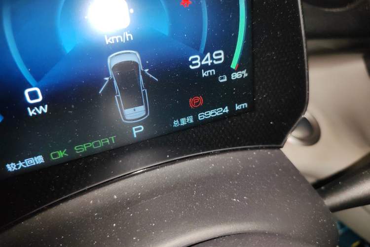 Used BYD Dolphin 2021 405 km Free Version Odometer Close Up