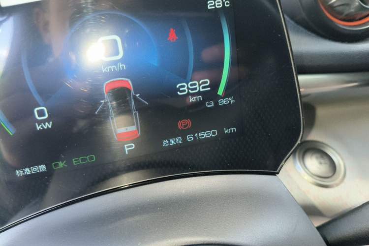 Used BYD Dolphin 2021 405 km Free Version Odometer Close Up