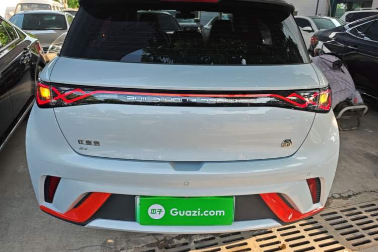 Used BYD Dolphin 2021 405 km Fashion Edition Rear