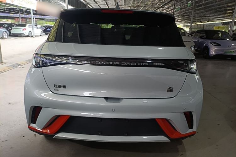 Used BYD Dolphin 2021 405 km Fashion Edition Rear
