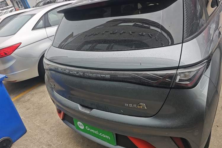 Used BYD Dolphin 2021 405 km Fashion Edition Rear