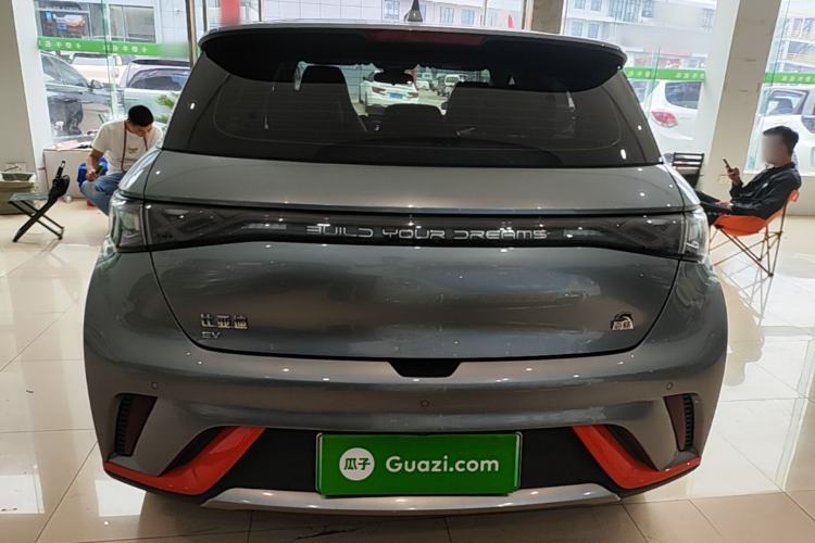 Used BYD Dolphin 2021 405 km Fashion Edition Rear