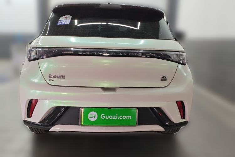 Used BYD Dolphin 2021 405 km Fashion Edition Rear