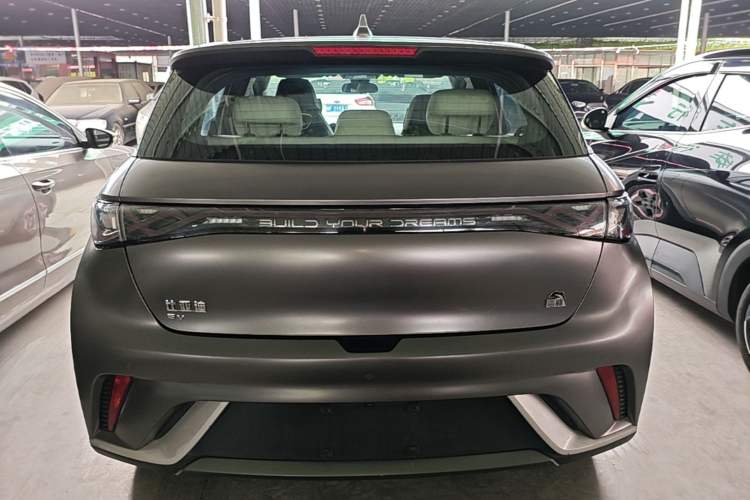 Used BYD Dolphin 2021 405 km Fashion Edition Rear