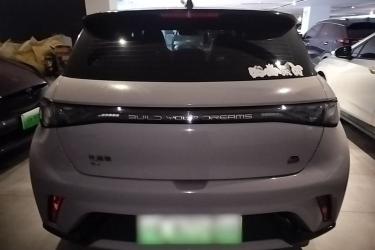 Used BYD Dolphin 2021 405 km Fashion Edition Rear