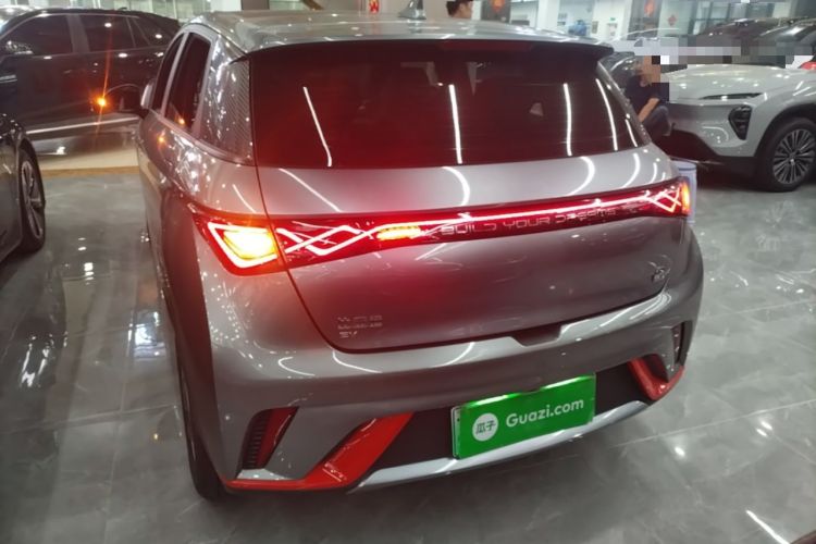 Used BYD Dolphin 2021 405 km Fashion Edition Rear