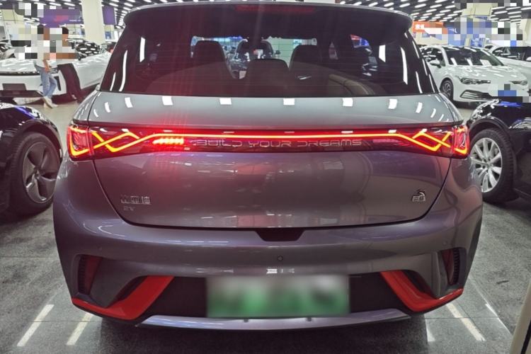 Used BYD Dolphin 2021 405 km Fashion Edition Rear