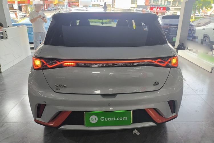 Used BYD Dolphin 2021 405 km Fashion Edition Rear
