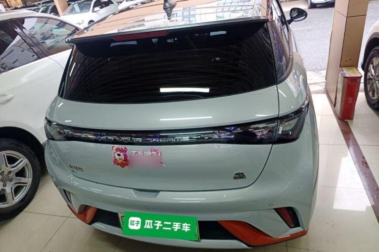 Used BYD Dolphin 2021 405 km Fashion Edition Rear