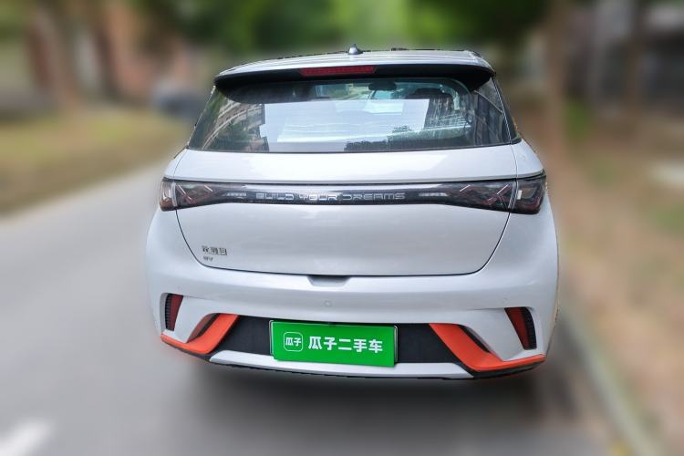 Used BYD Dolphin 2021 405 km Fashion Edition Rear