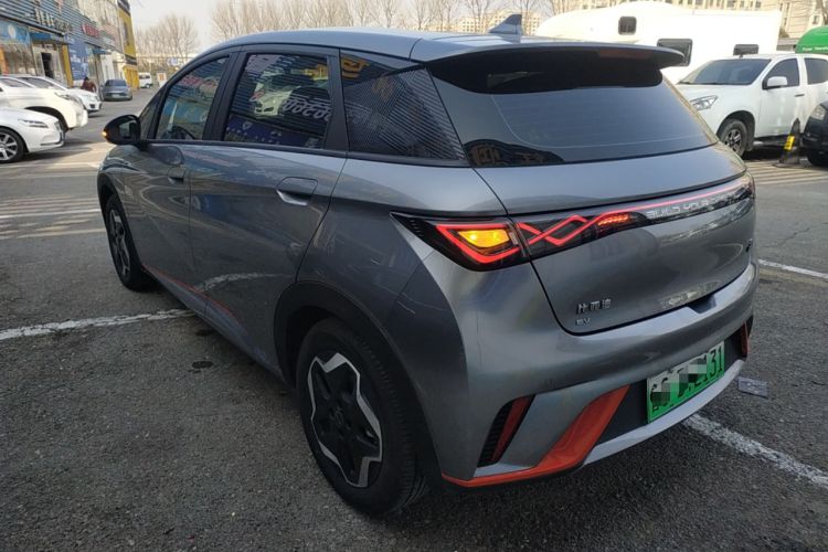 Used BYD Dolphin 2021 405 km Free Version Rear Left 45 Deg