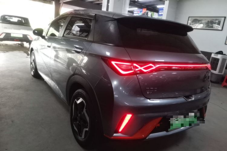 Used BYD Dolphin 2021 405 km Fashion Edition Rear Left 45 Deg