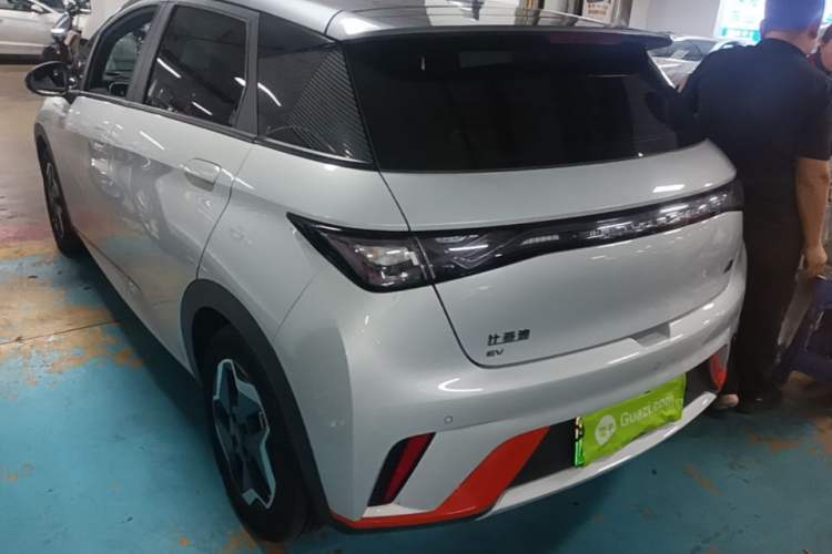 Used BYD Dolphin 2021 405 km Fashion Edition Rear Left 45 Deg