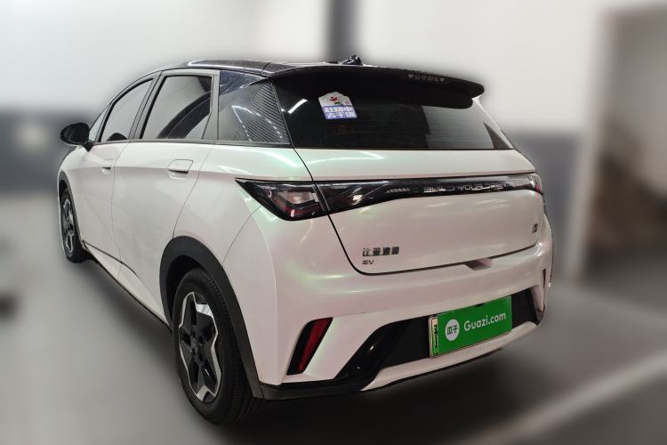 Used BYD Dolphin 2021 405 km Fashion Edition Rear Left 45 Deg