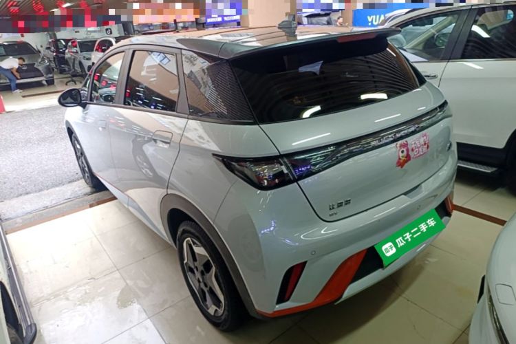 Used BYD Dolphin 2021 405 km Fashion Edition Rear Left 45 Deg
