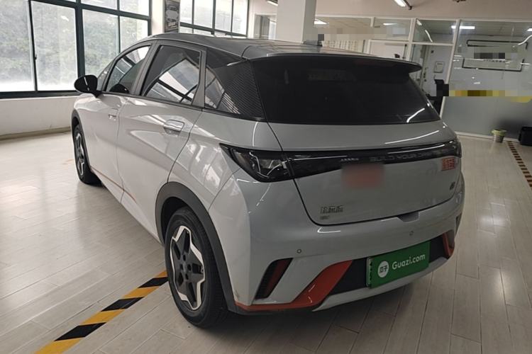 Used BYD Dolphin 2021 405 km Fashion Edition Rear Left 45 Deg
