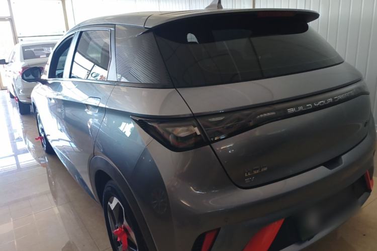 Used BYD Dolphin 2021 405 km Free Version Rear Left 45 Deg