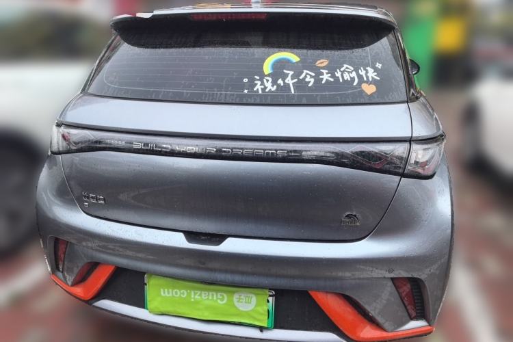 Used BYD Dolphin 2021 405 km Free Version Rear