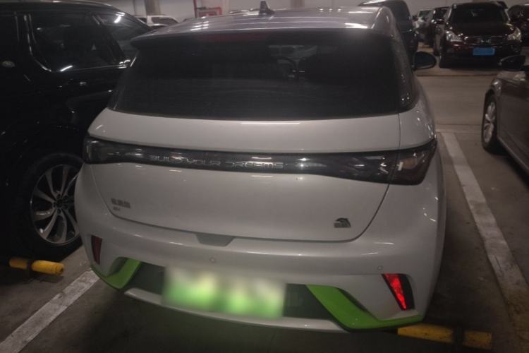 Used BYD Dolphin 2021 405 km Fashion Edition Rear