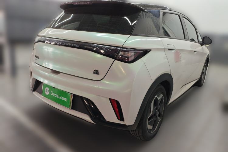 Used BYD Dolphin 2021 405 km Fashion Edition Rear Right 45 Deg