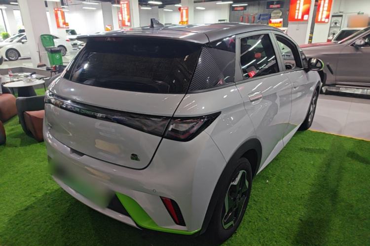 Used BYD Dolphin 2021 405 km Free Version Rear Right 45 Deg