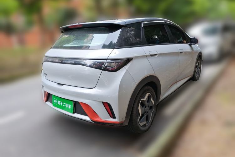 Used BYD Dolphin 2021 405 km Fashion Edition Rear Right 45 Deg