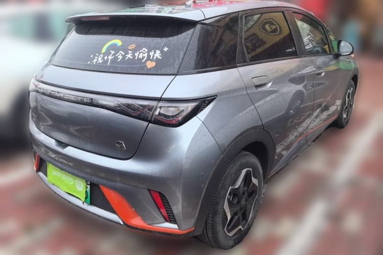 Used BYD Dolphin 2021 405 km Free Version Rear Right 45 Deg