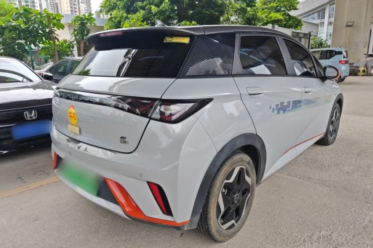 Used BYD Dolphin 2021 405 km Free Version Rear Right 45 Deg